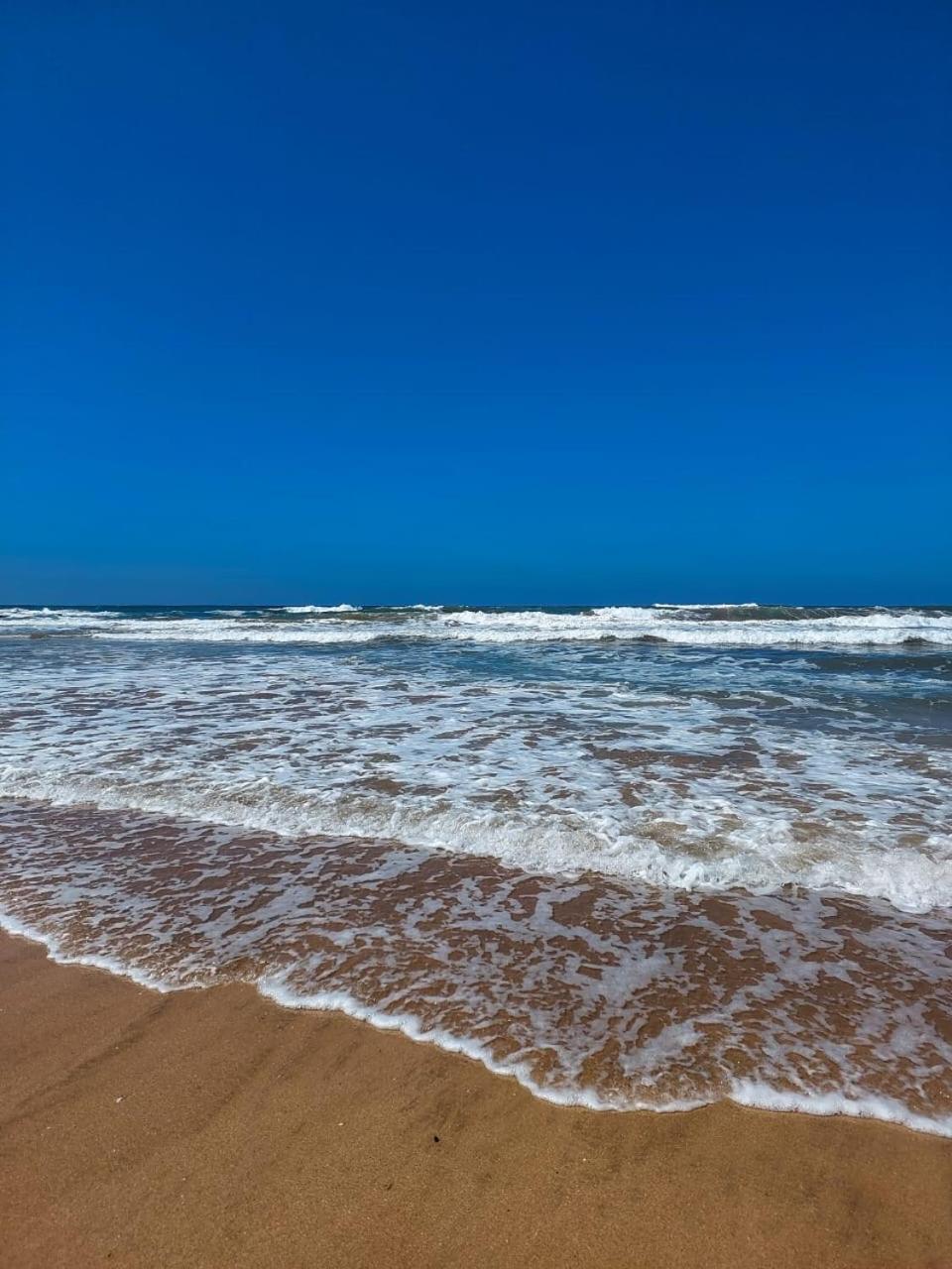 Bel Appartement De Plage - Rdc - Dahomey Beach Buznika Kültér fotó
